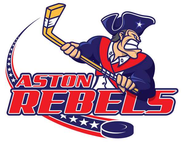 Aston Rebels 2015-Pres Primary Logo iron on heat transfer